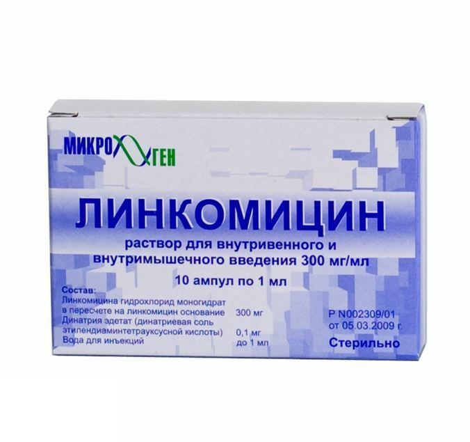 Препараты при лечении остеохондроза позвоночника у собак. Остеохондроз у собак
