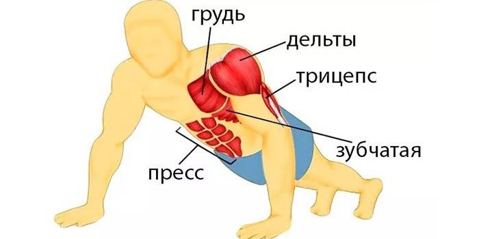Золотые правила, которые помогут девушке научиться отжиматься от пола с нуля
